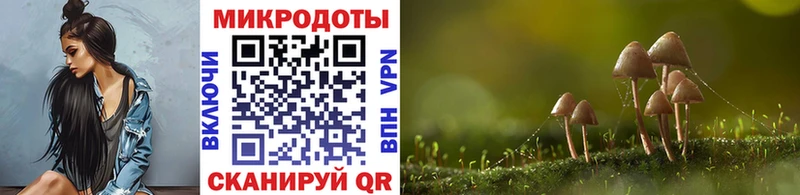 как найти   ОМГ ОМГ ССЫЛКА  Псилоцибиновые грибы MAGIC MUSHROOMS  Никольское 